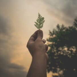 Spotkania z przyrodą i z Kasią Skakuj